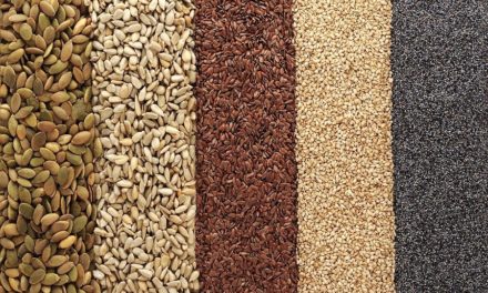 Proprietà dei semi: piccoli e fondamentali