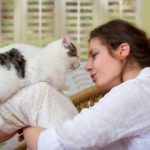 Comunicare con i gatti: i significati del miao
